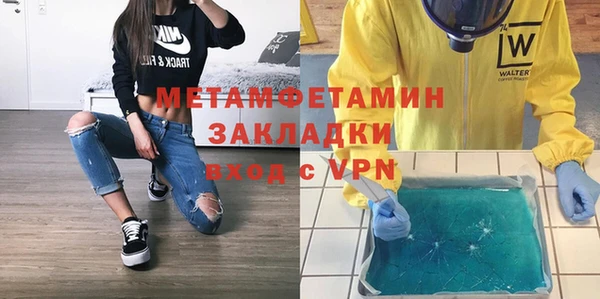 индика Алексин