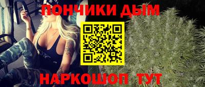 соль ск Можга