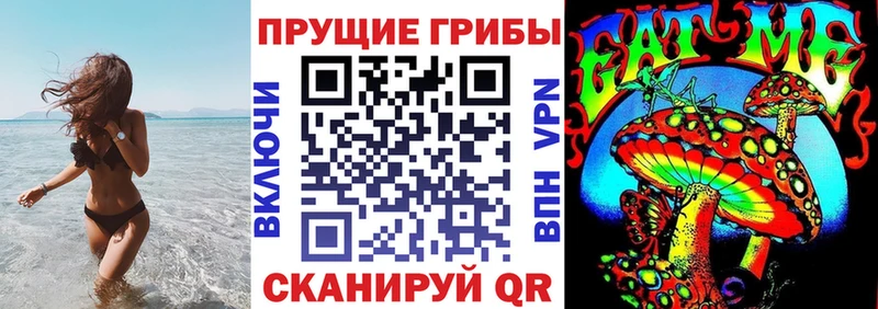 где купить наркотик  Дмитров  Псилоцибиновые грибы Cubensis 