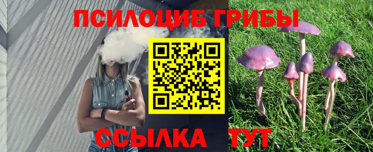 Галлюциногенные грибы Psilocybe Дмитров