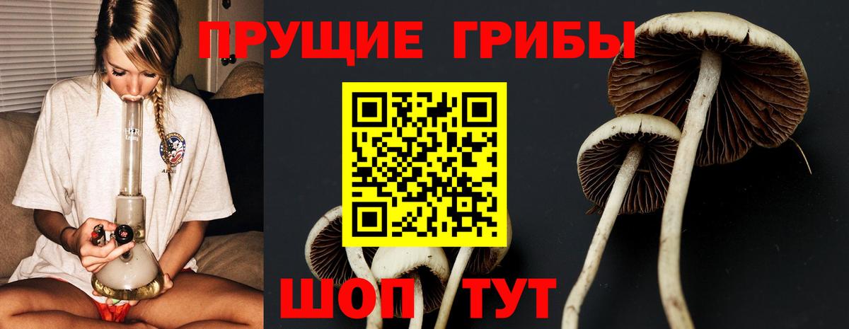 Дмитров  Псилоцибиновые грибы GOLDEN TEACHER  Вход с VPN 